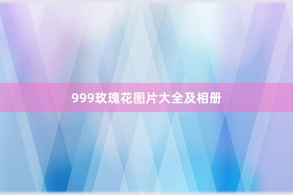 999玫瑰花图片大全及相册
