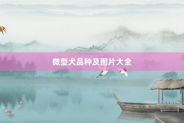 微型犬品种及图片大全