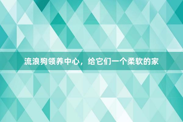 流浪狗领养中心，给它们一个柔软的家