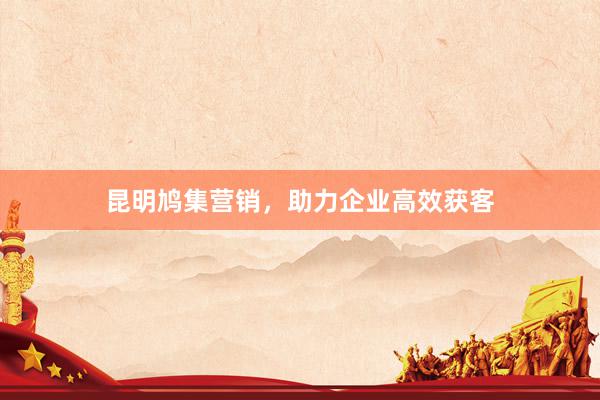 昆明鸠集营销，助力企业高效获客